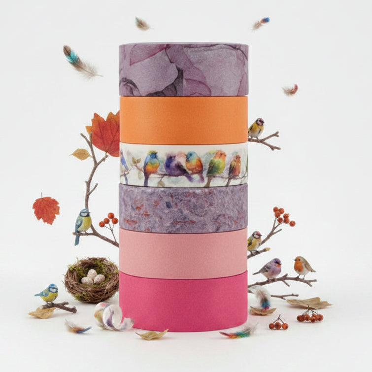 Washi Your Mouth Out - 6 cheeky washi tapes in Birdie Song