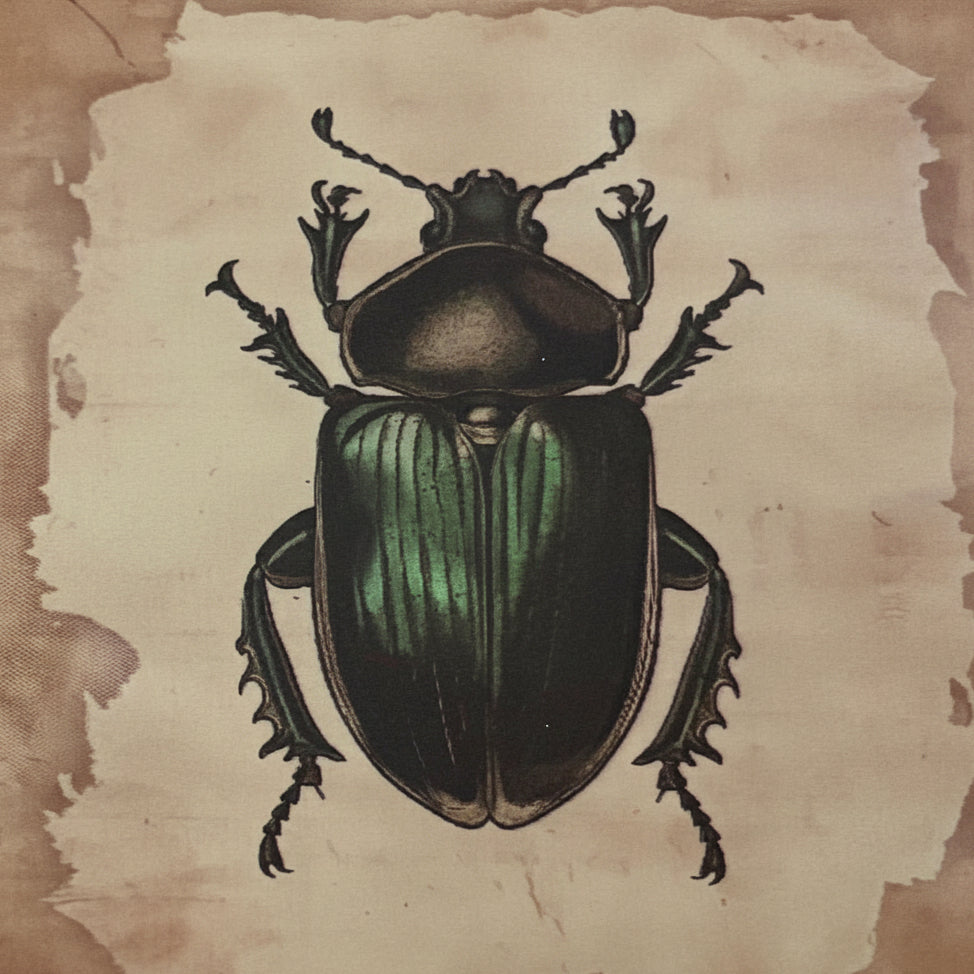 Pest-Imists - 30 creepy insect stickers