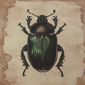 Pest-Imists - 30 creepy insect stickers
