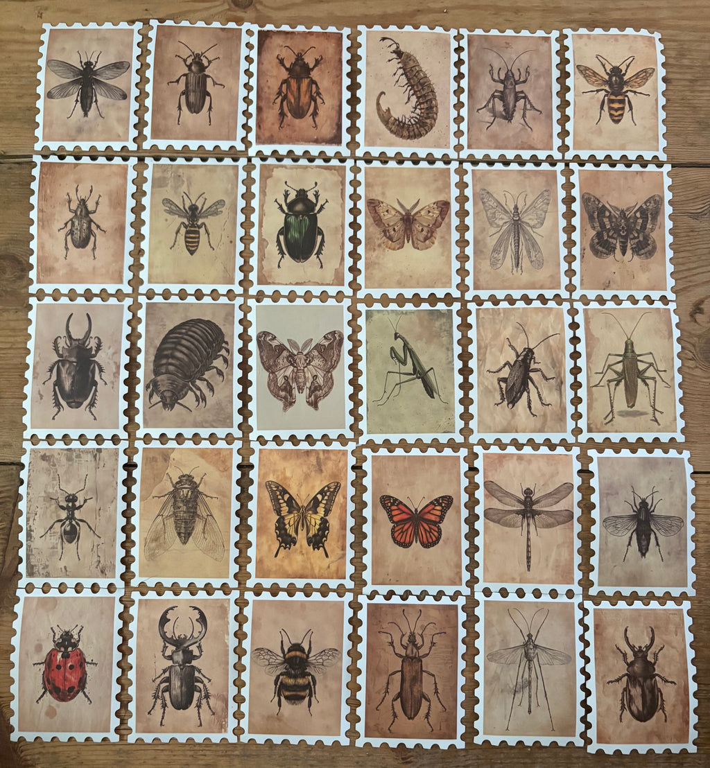 Pest-Imists - 30 creepy insect stickers