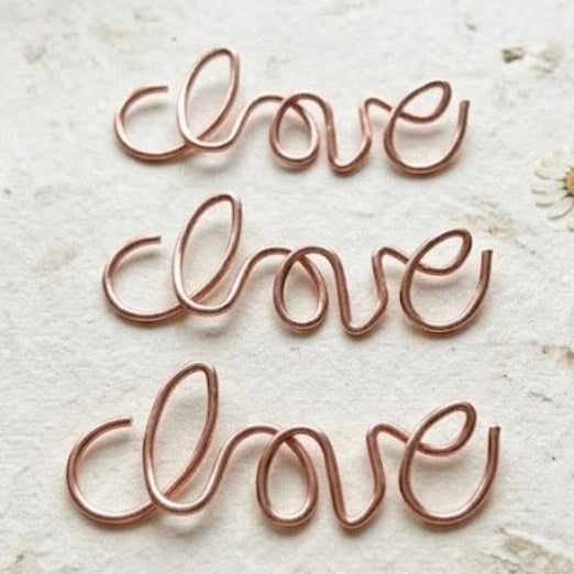 Clip Tease - 12 'love' paperclips in Rose Gold