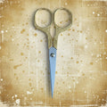 Shear Madness - Scissors in Golden Goose